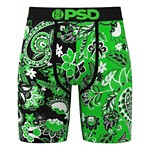 Lucky Paisley Brief