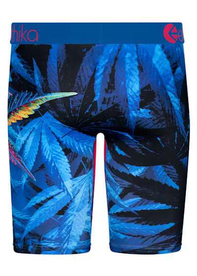 Exotica Boxer Brief