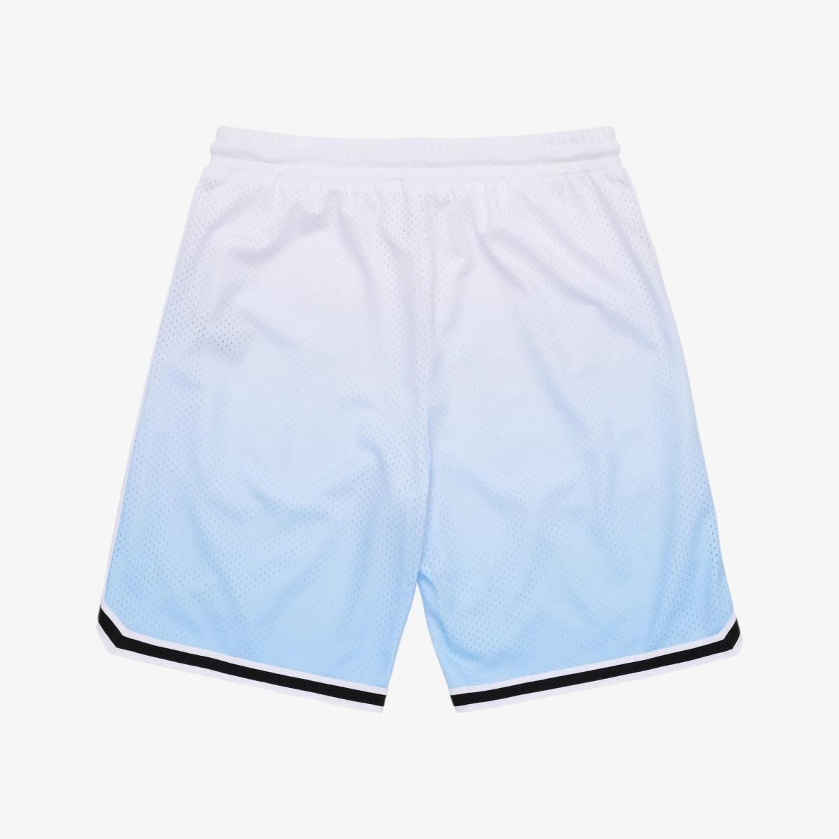 Ombre Mesh Shorts