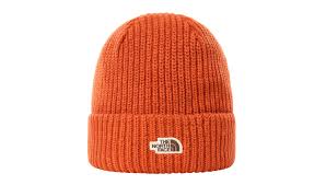 Salty Lined Beanie